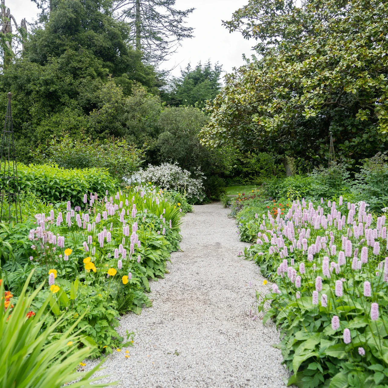 Avoca Mount Usher Gardens: Self Guided Experience in Ashford β Tiqets