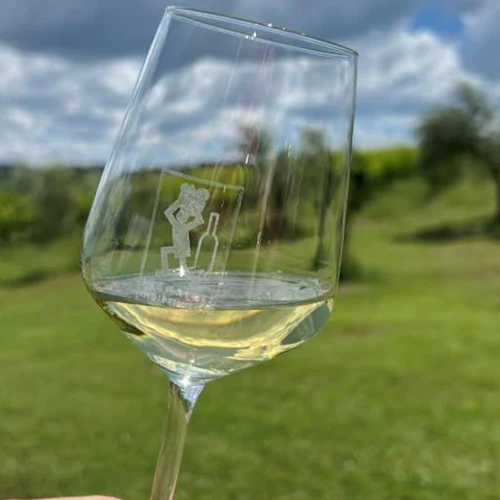 Tenuta La Viola: Guided Tour and Wine Tasting - Photo 6