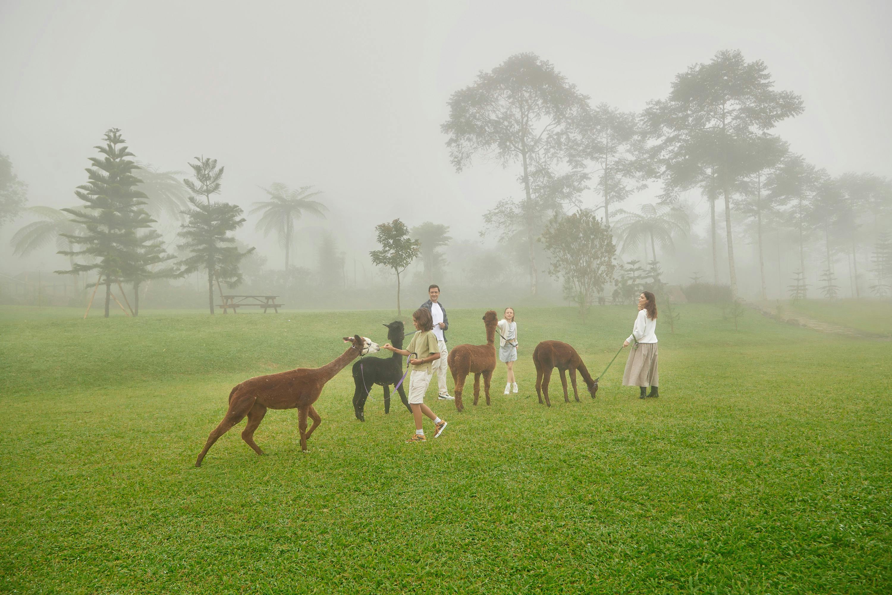 Bali Farm House: Picnic at the Farm Ticket