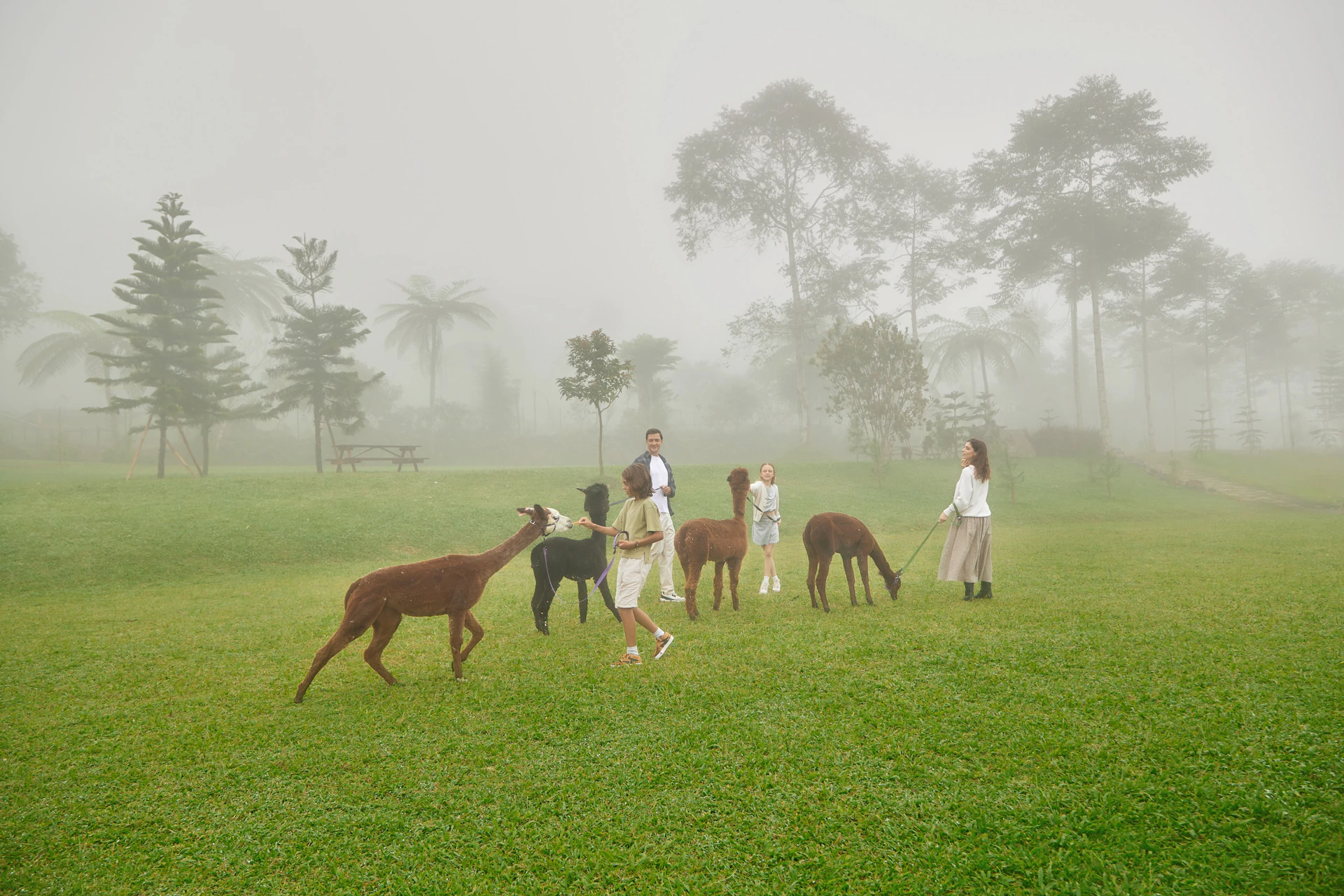 Bali Farm House: Picnic at the Farm Ticket