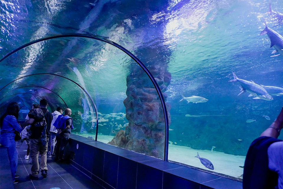 ViaSea Aquarium