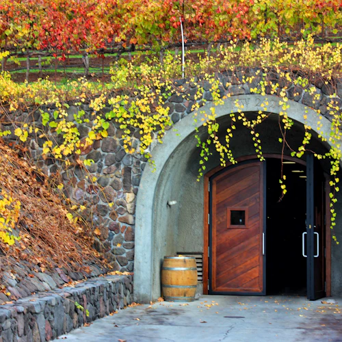 De São Francisco: Excursão de meio dia para degustação de vinhos em Napa Valley - Photo 8