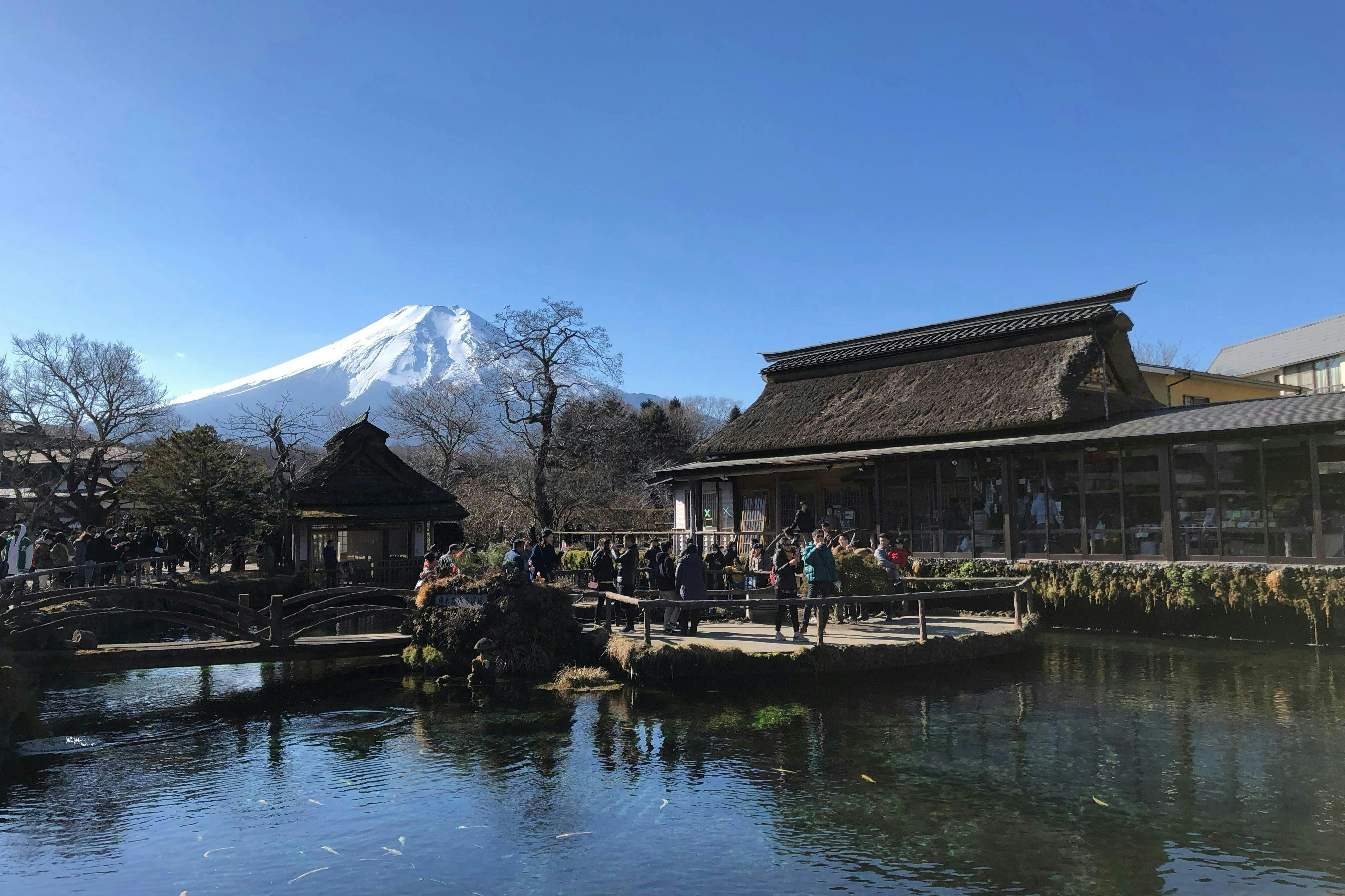 Monte Fuji: Tour guidato di una giornata intera da Tokyo — 3