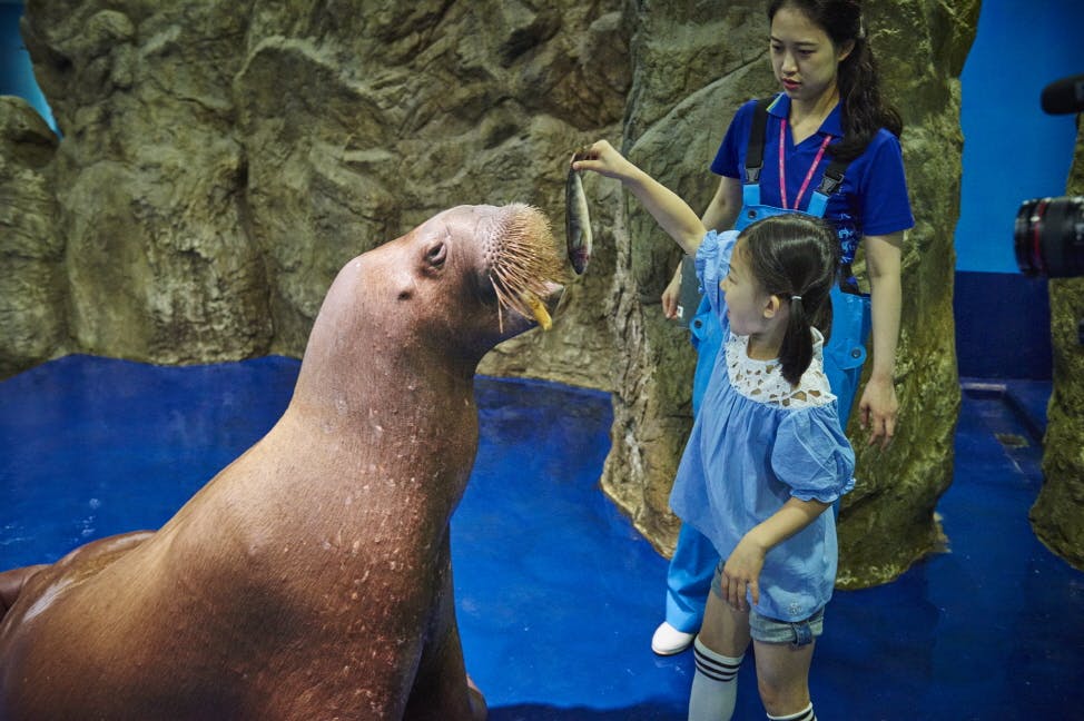 Ilsan Aqua Planet: Admission Ticket in Seoul – Tiqets