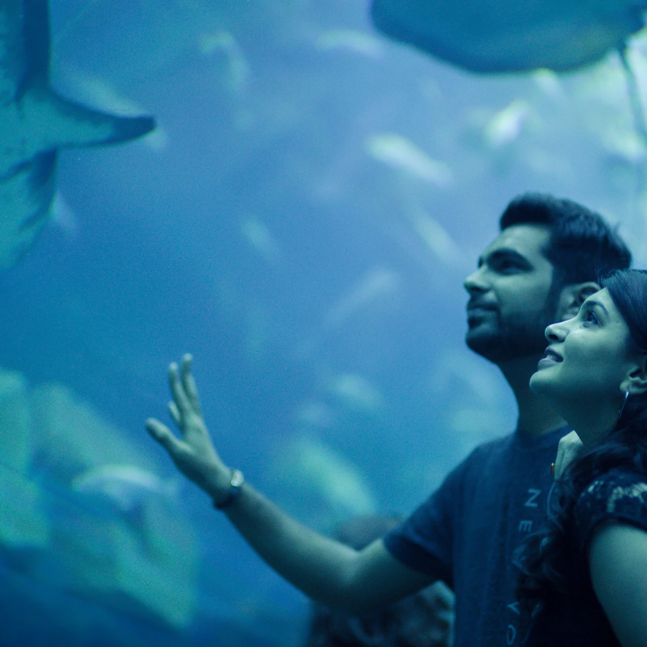 Dubai Aquarium & Underwater Zoo: Platinum Pass 5