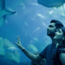 Dubai Aquarium & Underwater Zoo: Platinum Pass 5
