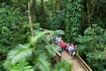 Excursión guiada por la antigua selva tropical de Daintree