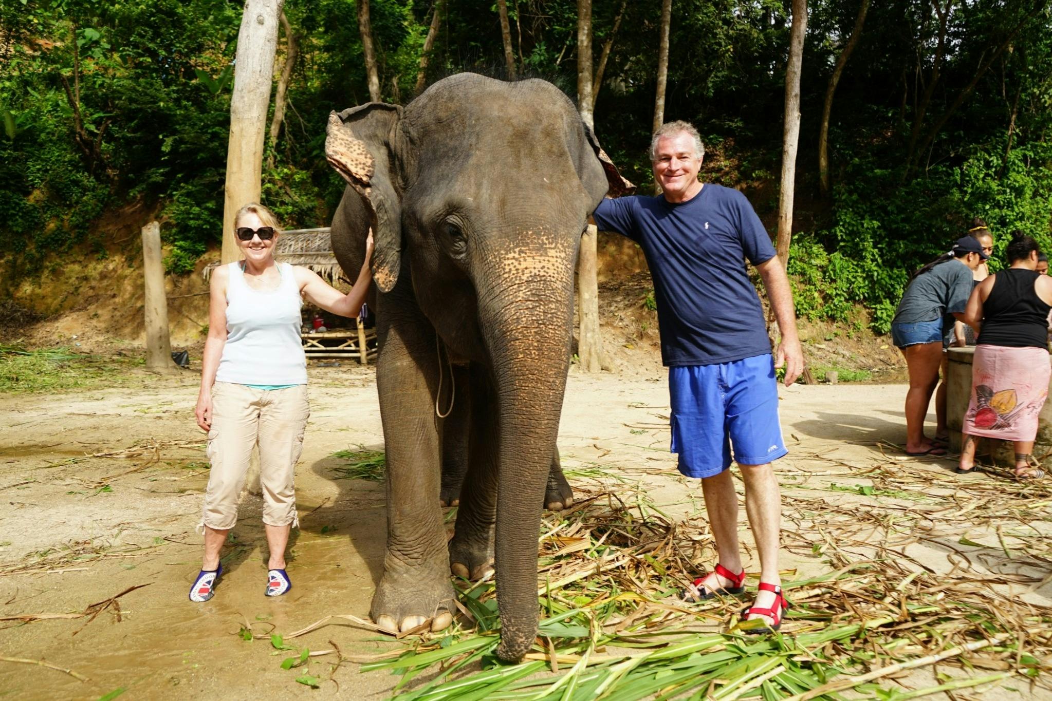 숲 속 코끼리 옆에 한 남자가 서서 미소를 짓고 있습니다. 사람들은 백그라운드에서 테이블 주위에서 상호 작용합니다.