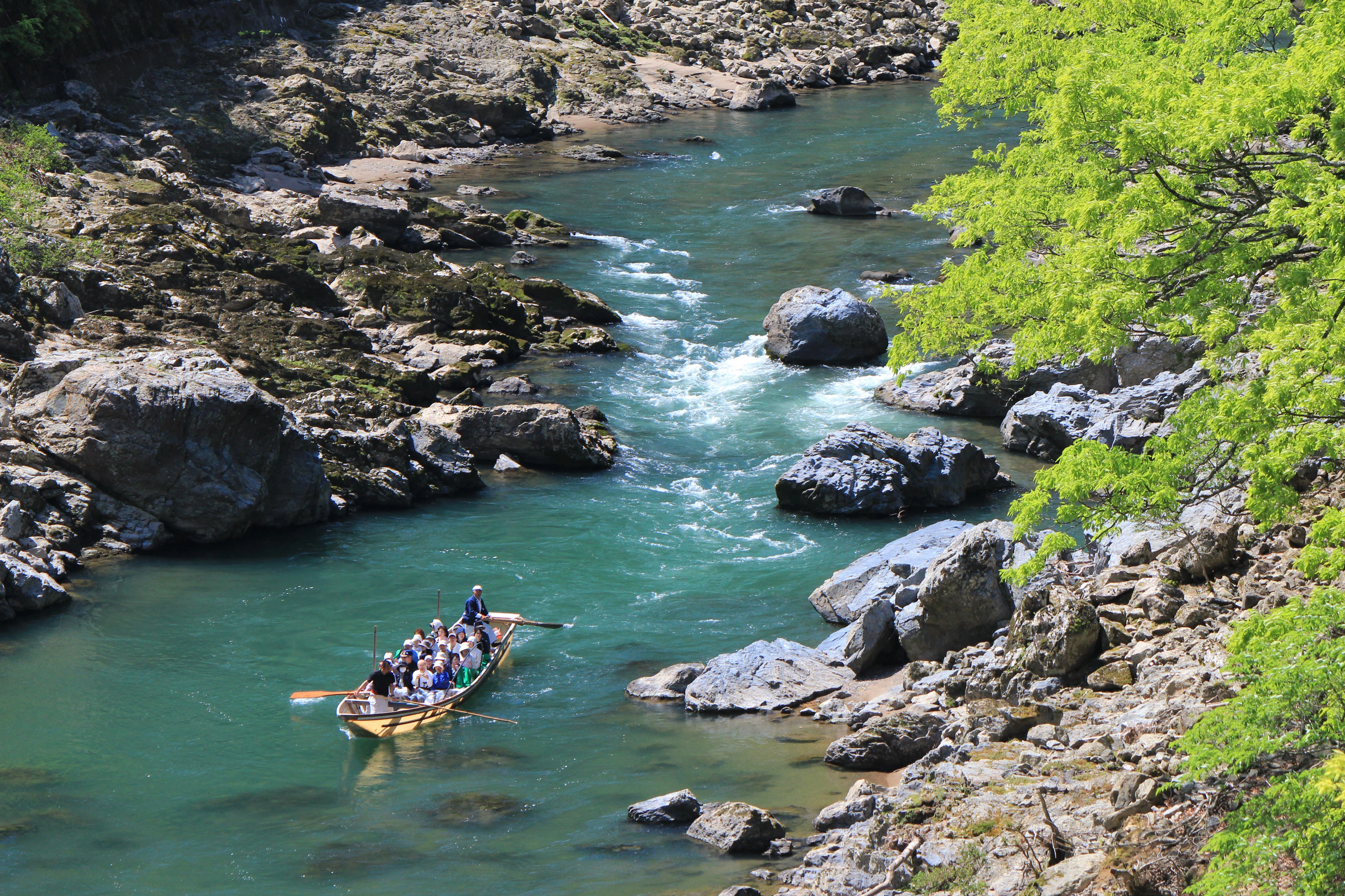 Hozugawa Private River Boat Ride