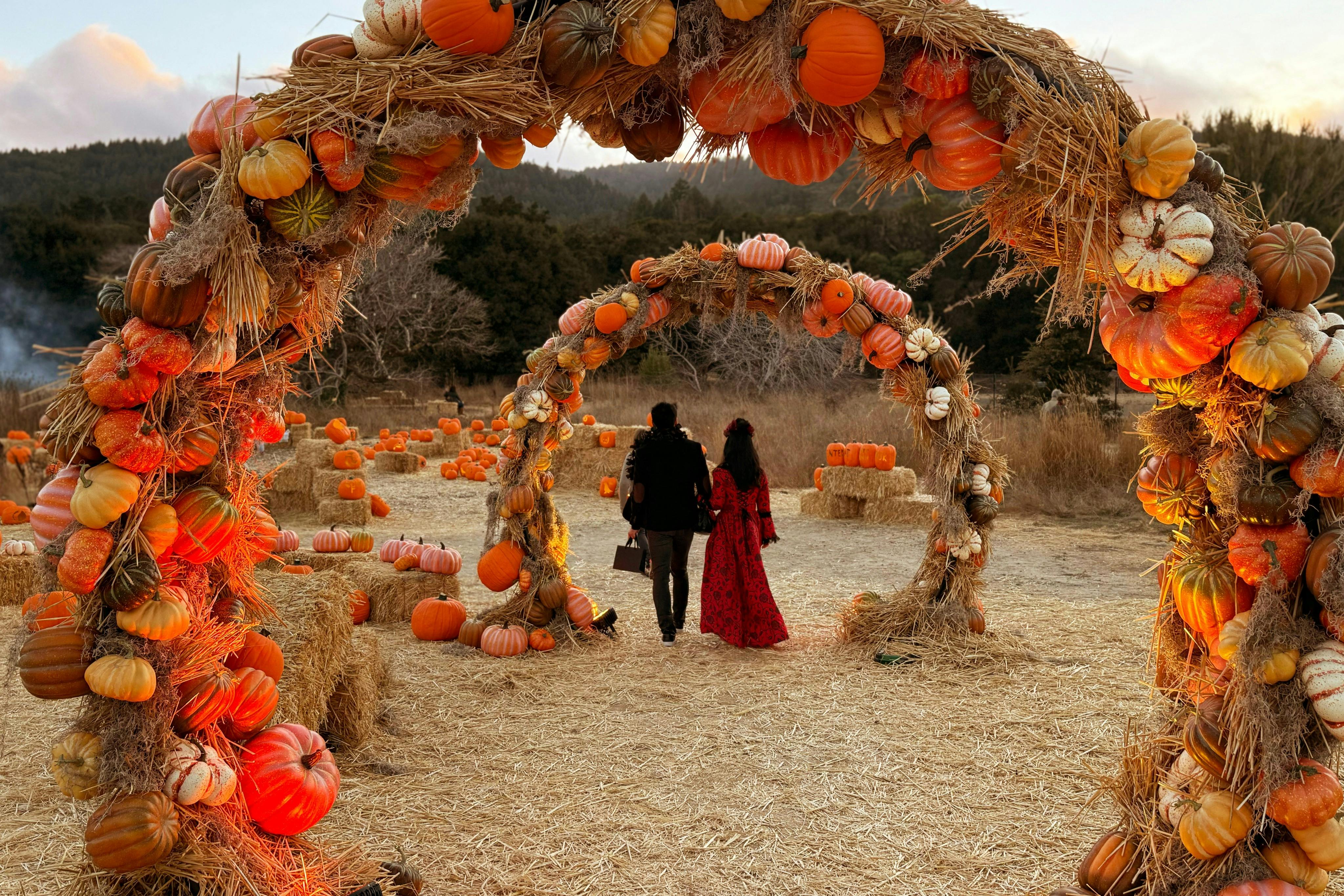 Δύο άνθρωποι περπατούν χέρι-χέρι μέσα από μια αψίδα διακοσμημένη με κολοκύθες και σανό. Γύρω τους είναι σανόμπαλες και περισσότερες κολοκύθες.