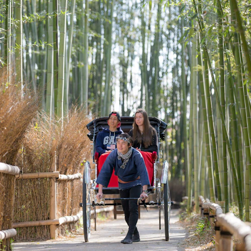 Gion Kyoto: 3-Hr Small Group Guided Walking Tour