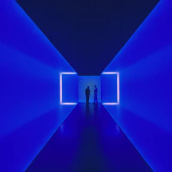 The Museum of Fine Arts, Houston: ALL ACCESS Ticket 4