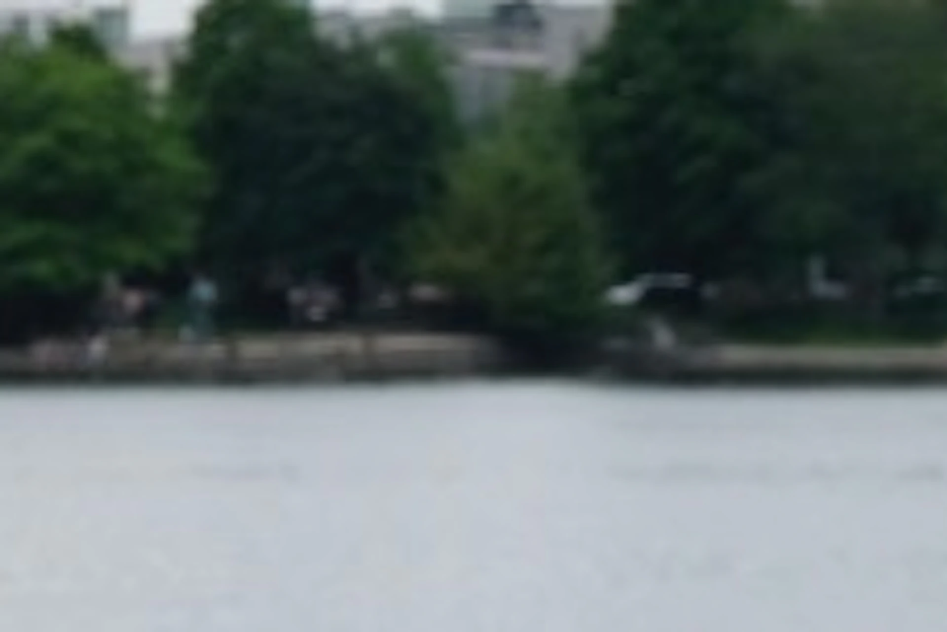 Tour guide at Outer Alster Lake.