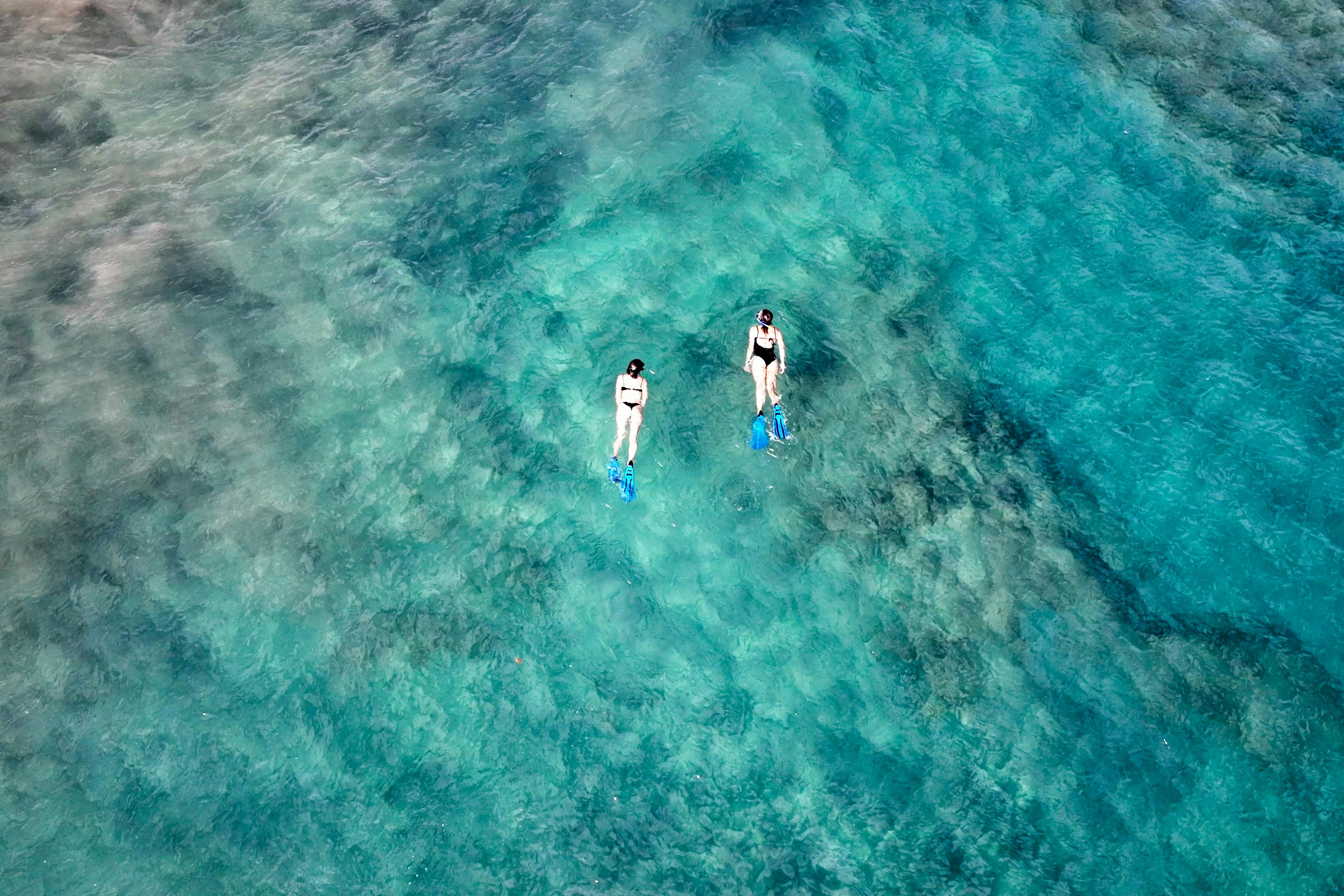 Playa Blanca: Esperienza guidata di snorkeling + trasferimenti — 2