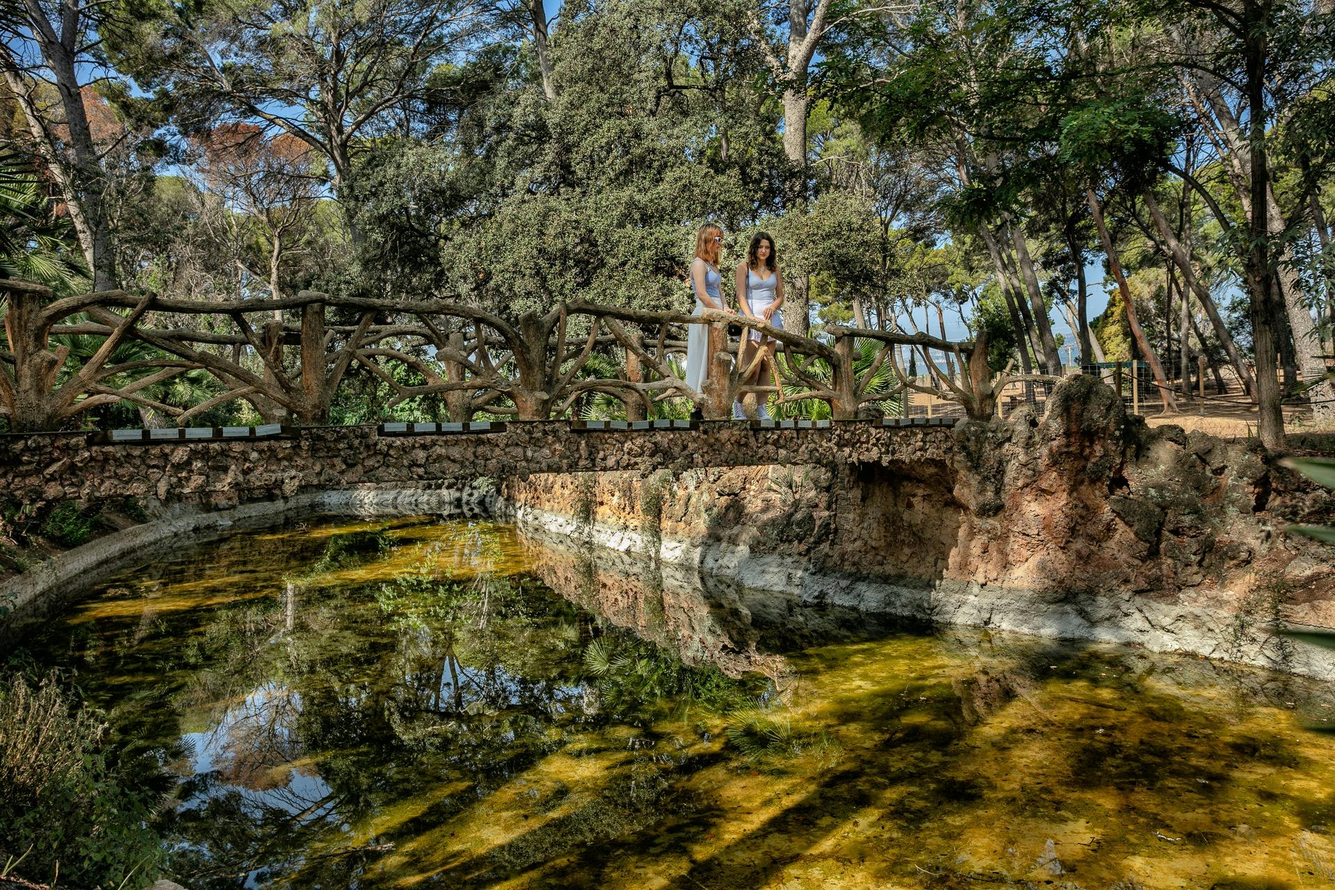 休日の鹿の森の湖。Sama Park. Cambrils