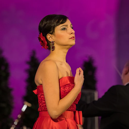 Uma Noite em Schönbrunn: Jantar & Concerto - Photo 3