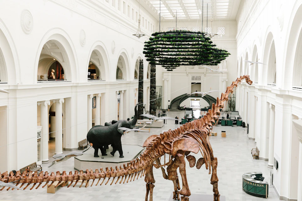 A large dinosaur skeleton and taxidermy elephants are displayed in a grand, arched-ceiling museum hall.