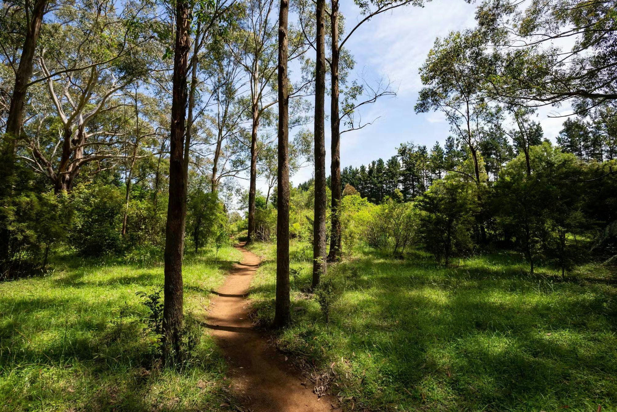 Outdoor-Aktivitäten