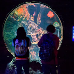 Två personer med ryggsäckar observerar ett stort, cirkulärt akvarium som visar färgglada fiskar och koraller, med en informationspanel i närheten.