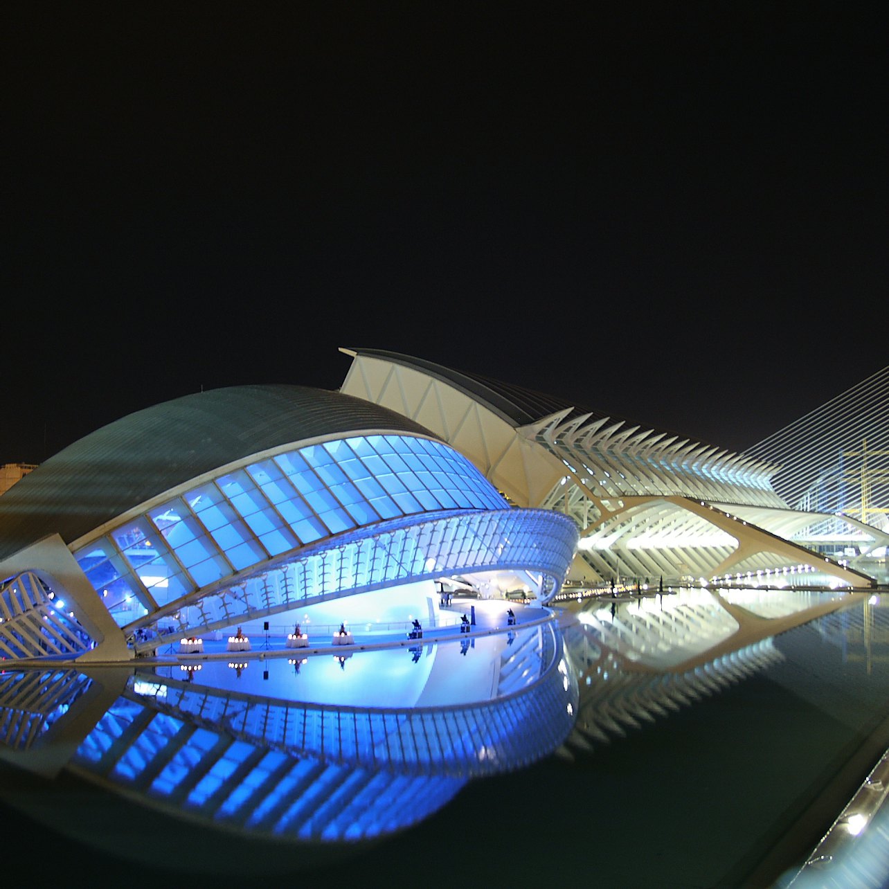 Gallery image 6