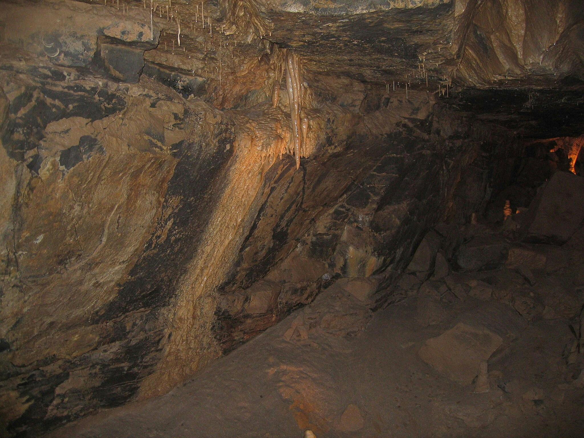 Dimly lit cave with rocky walls and ceiling, featuring stalactites and a sloped floor with scattered rocks.