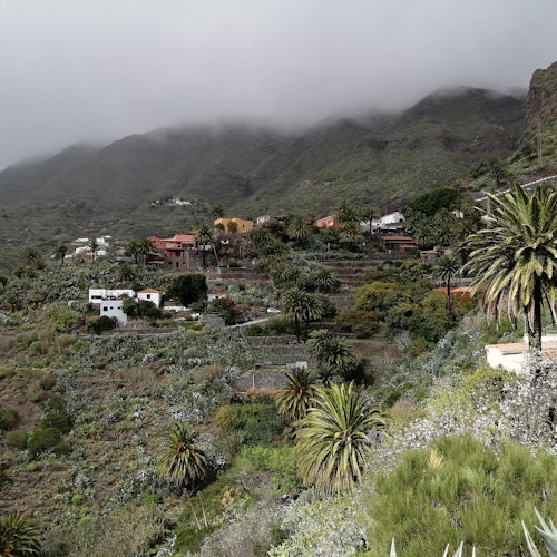 Parque Nacional del Teide, Volcán y Masca: Visita guiada