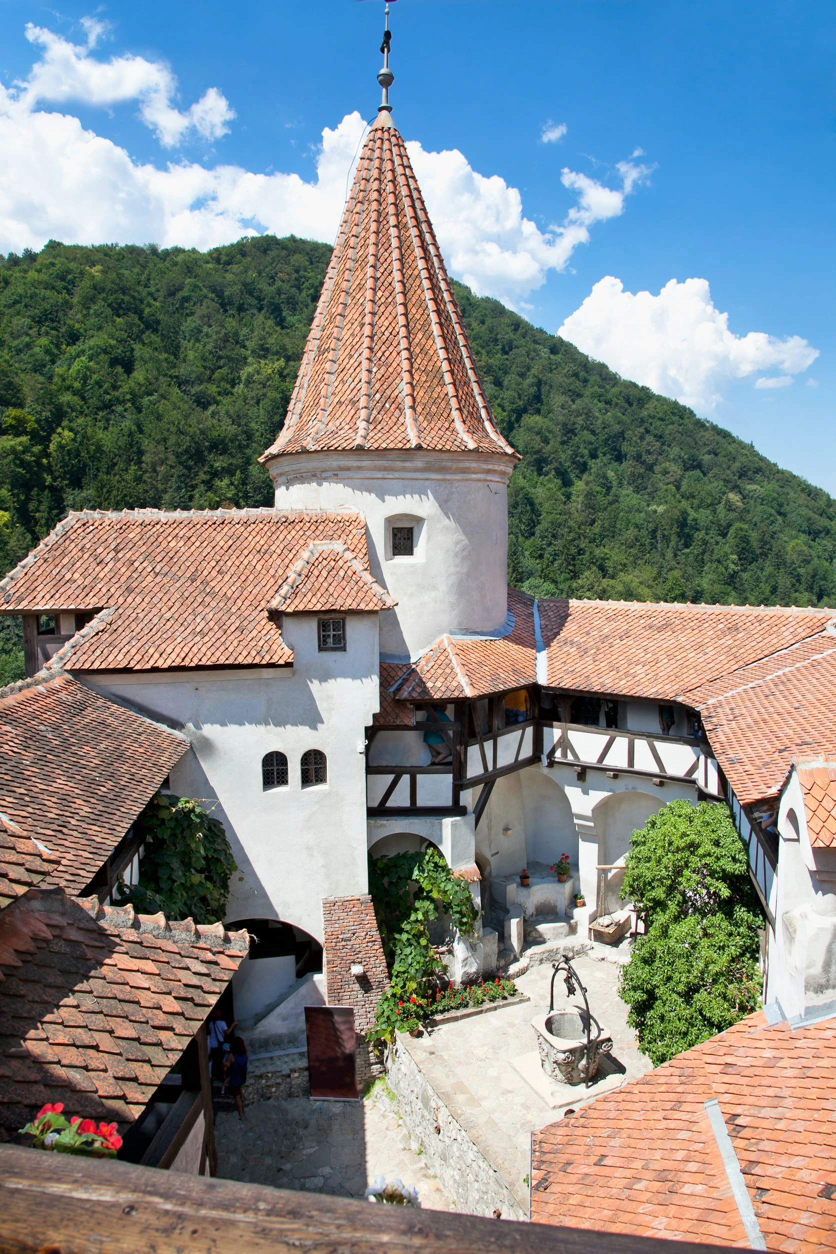 Dracula's Castle: Entry Ticket + Guided Tour