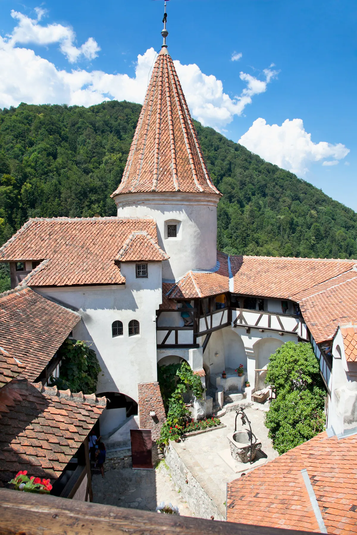 Dracula's Castle: Entry Ticket + Guided Tour