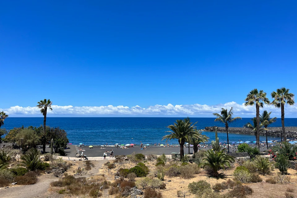 A beach with people under umbrellas, walking, and swimming. Palm trees and dry bushes in the foreground; blue ocean and sky.