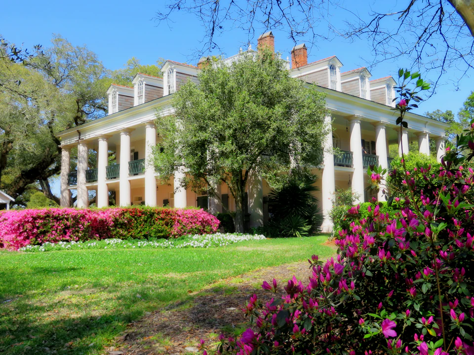 Large southern-style mansion with white columns, surrounded by blooming pink azaleas and green trees on a sunny day.