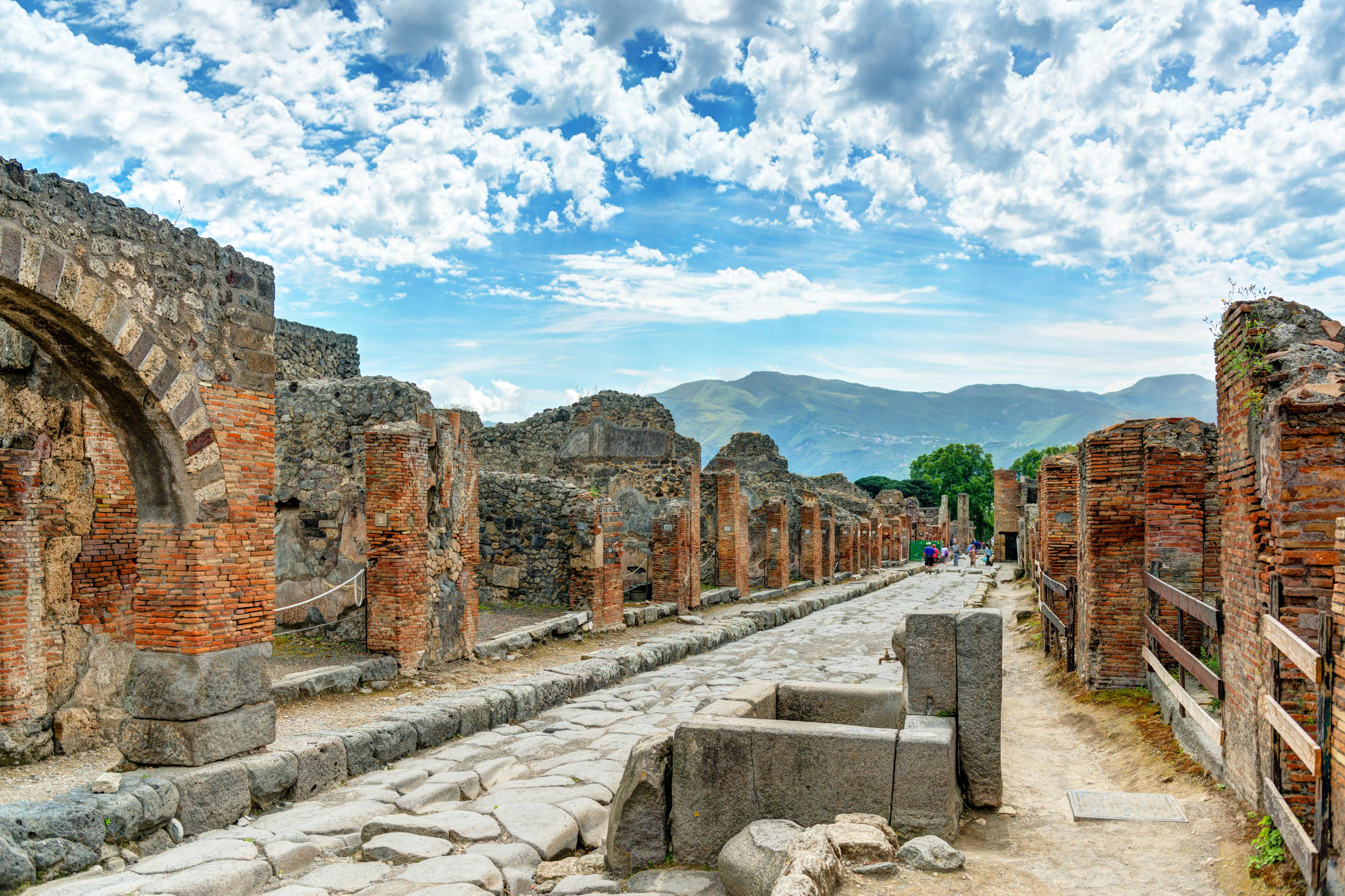 Transportation Only: Roundtrip by Shuttle Bus from Naples to Pompeii - Photo 7
