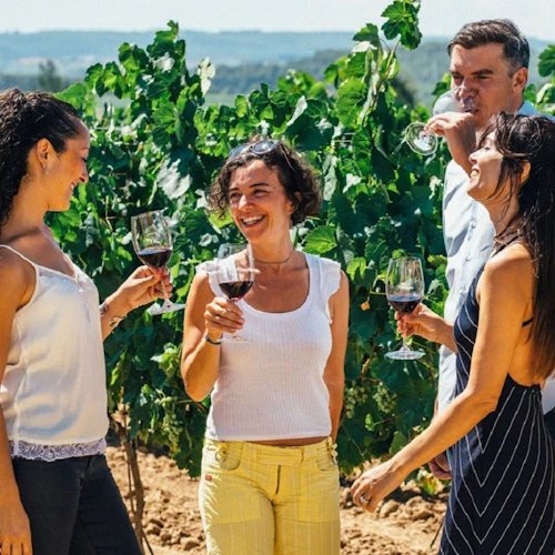 Barcelona: Experiência de navegação para pequenos grupos + visita e degustação de vinhos - Photo 2
