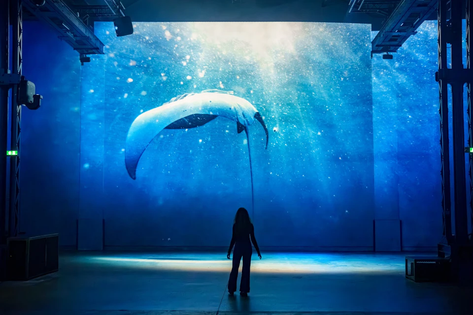A person stands in front of a large screen displaying an underwater scene with a manta ray swimming.