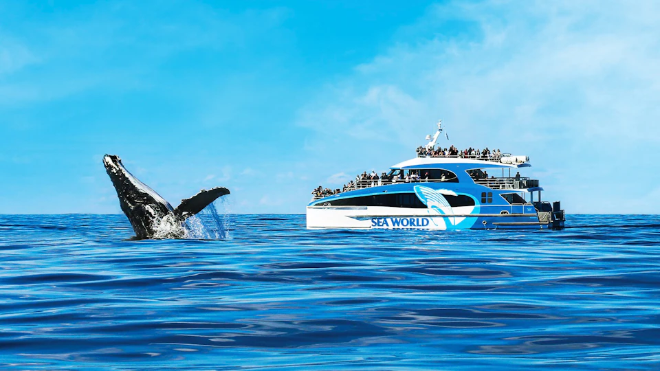 A whale breaches near a boat labeled 'Sea World' with people observing, on a calm ocean under a clear blue sky.