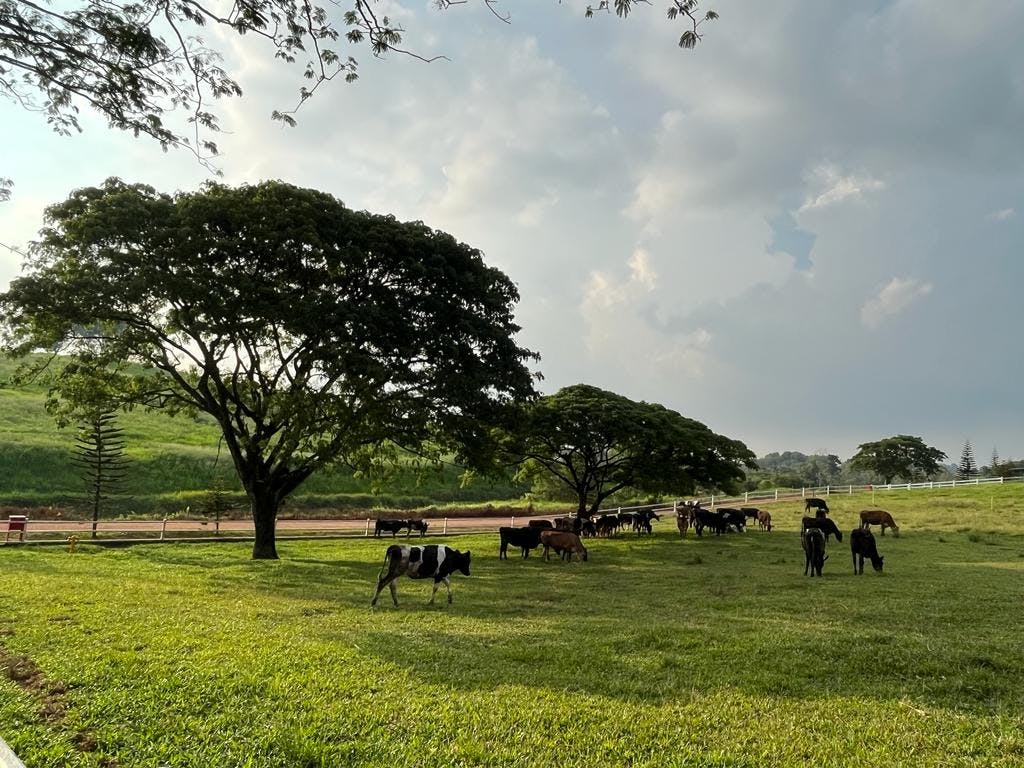 UPM: Farm Fresh Experience