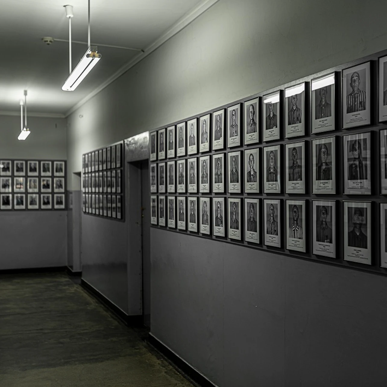 Auschwitz-Birkenau: Guided Tour + Transport in Krakow β Tiqets