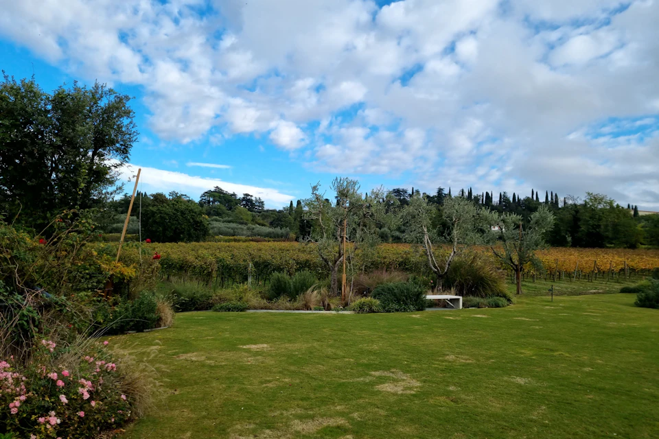 Panoramic view & vineyards