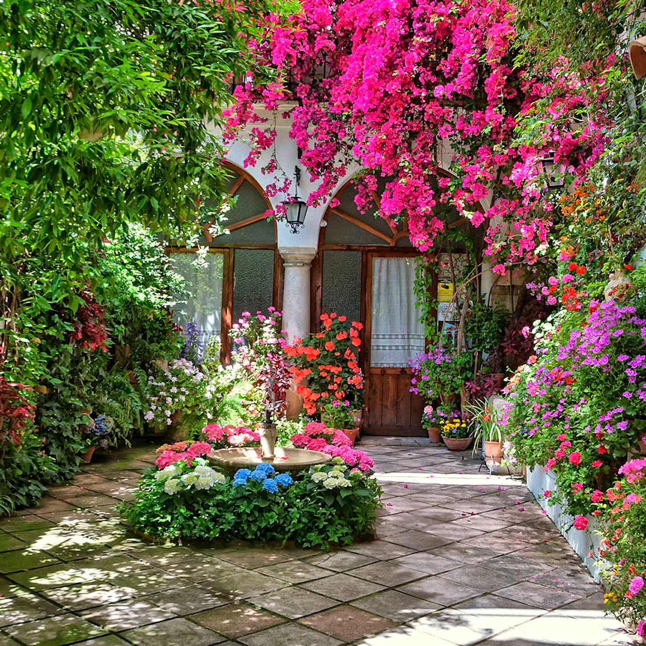 Slider Image