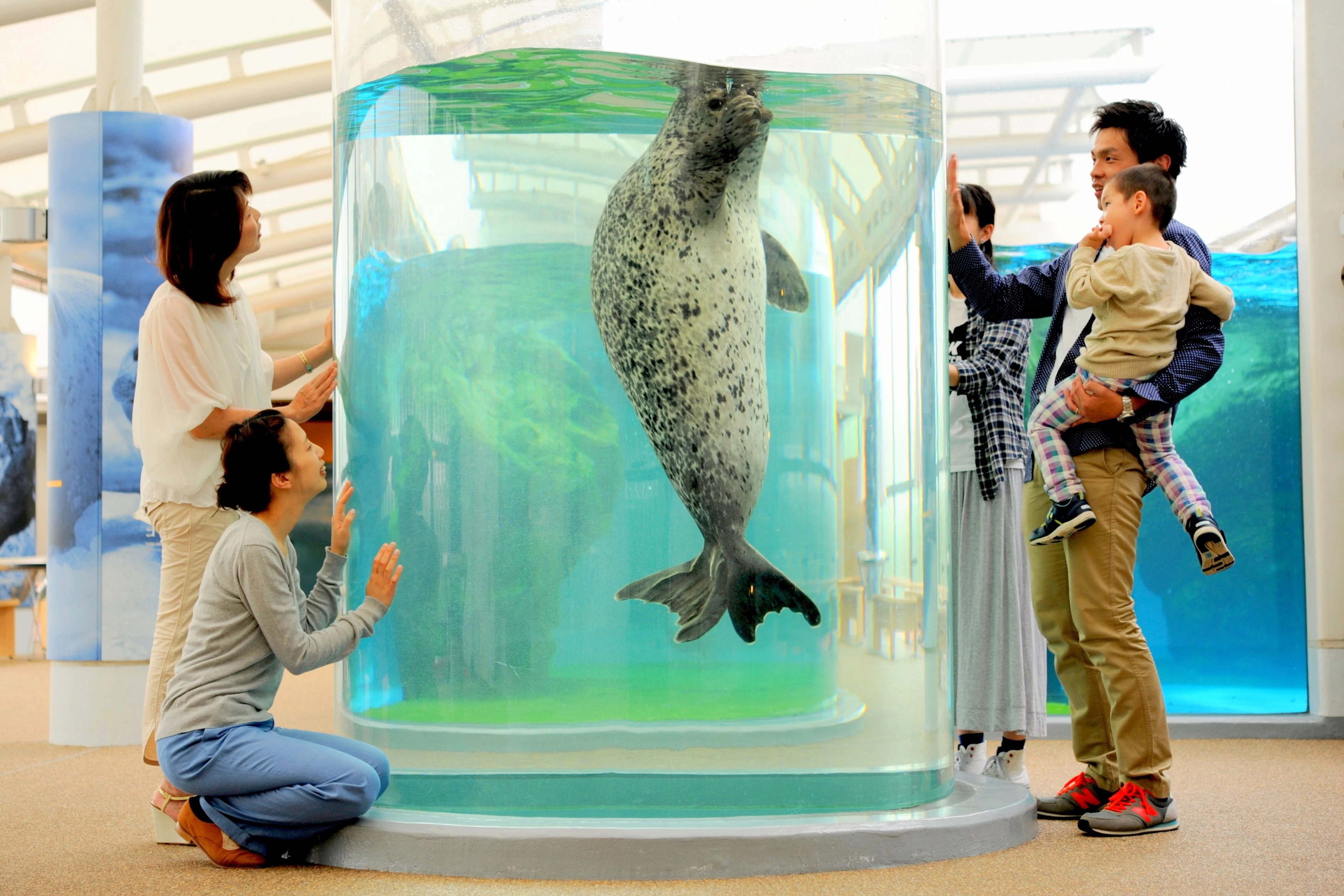 Kyoto Aquarium: Entry Ticket