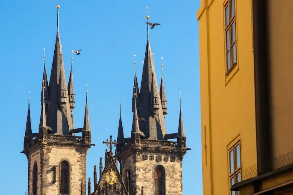A Gothic church with tall spires next to a yellow building under a clear blue sky, with birds flying nearby.