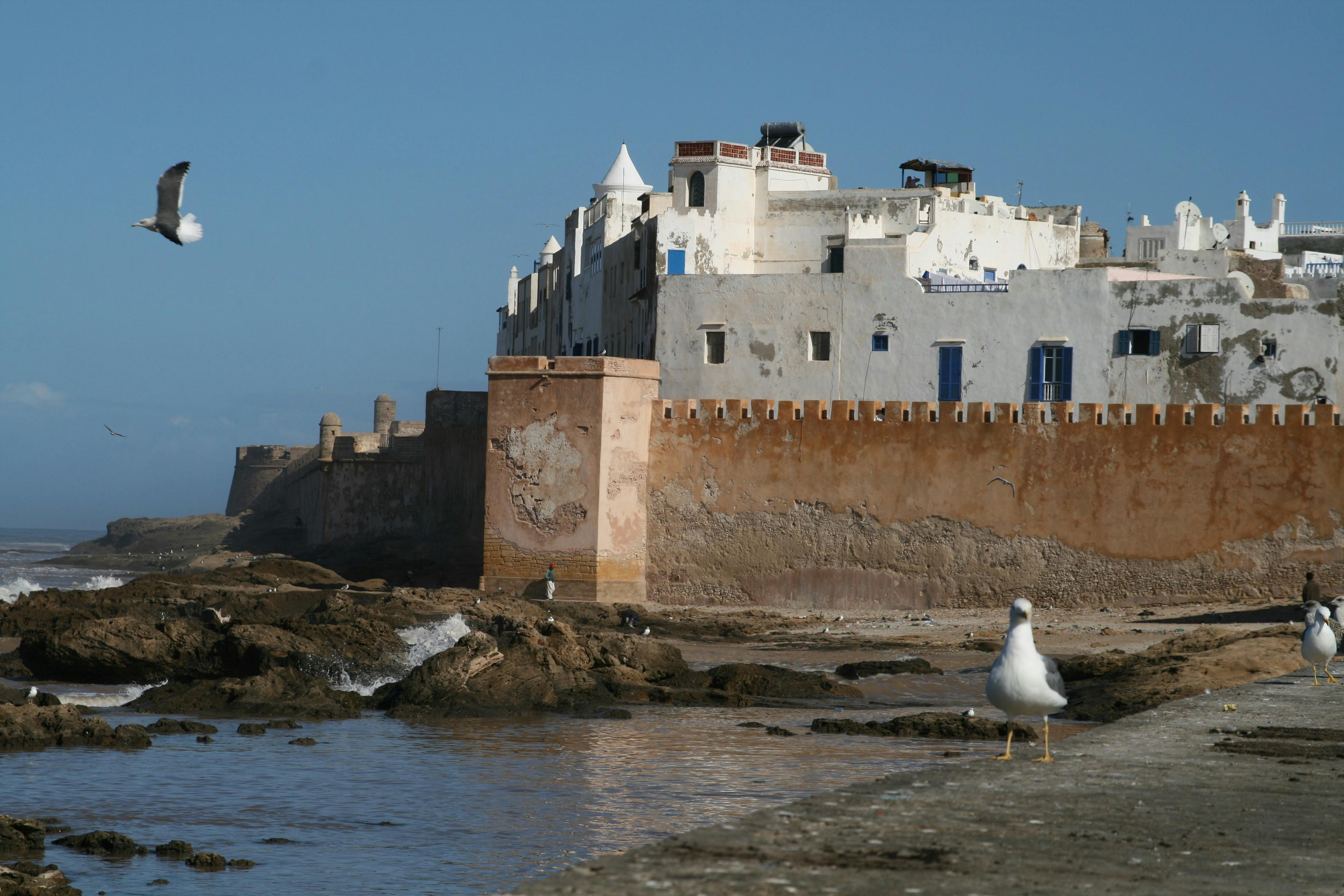 A white seaside fortress with blue windows, rocky shore, a seagull in the foreground, and clear blue sky above.