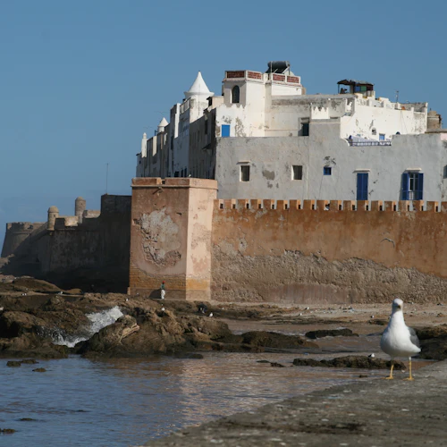 Essaouira: Guided Day Tour + Pickup from Marrakech - Photo 2