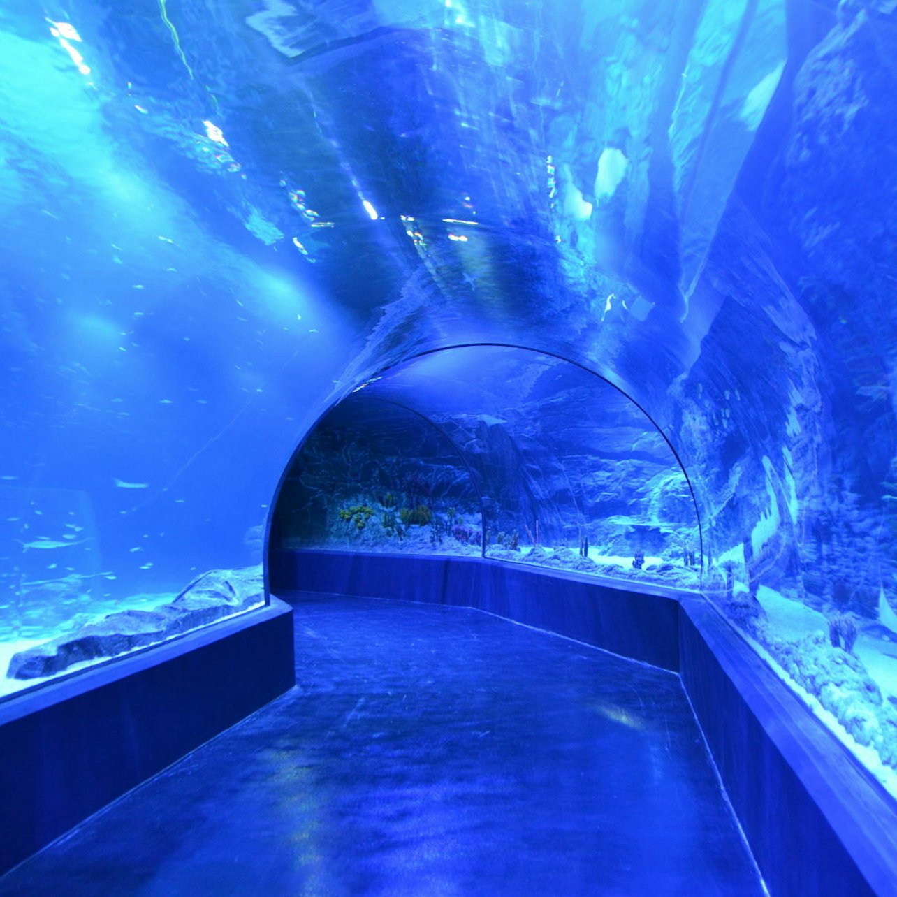 Atlantis Aquarium: sem filas - Acomodações em Madrid