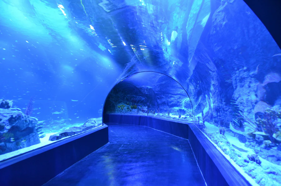 Madrid Atlantis Aquarium Tickets