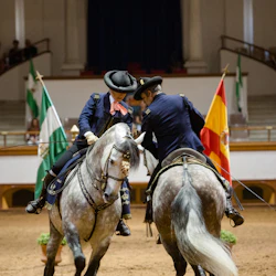 Royal Andalusian School of Equestrian Art: Full Visit + Optional VIP Upgrade 3