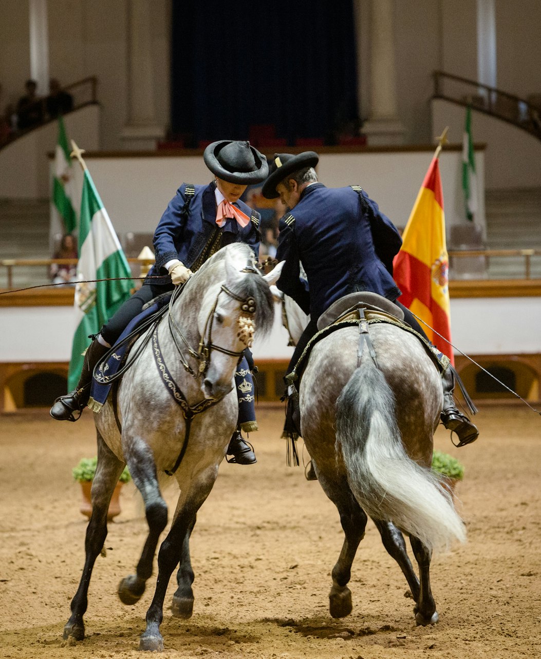 Real Escola Andaluza de Arte Equestre: visita completa - Acomodações em Jerez de la Frontera