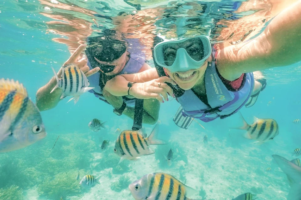 Snorkel