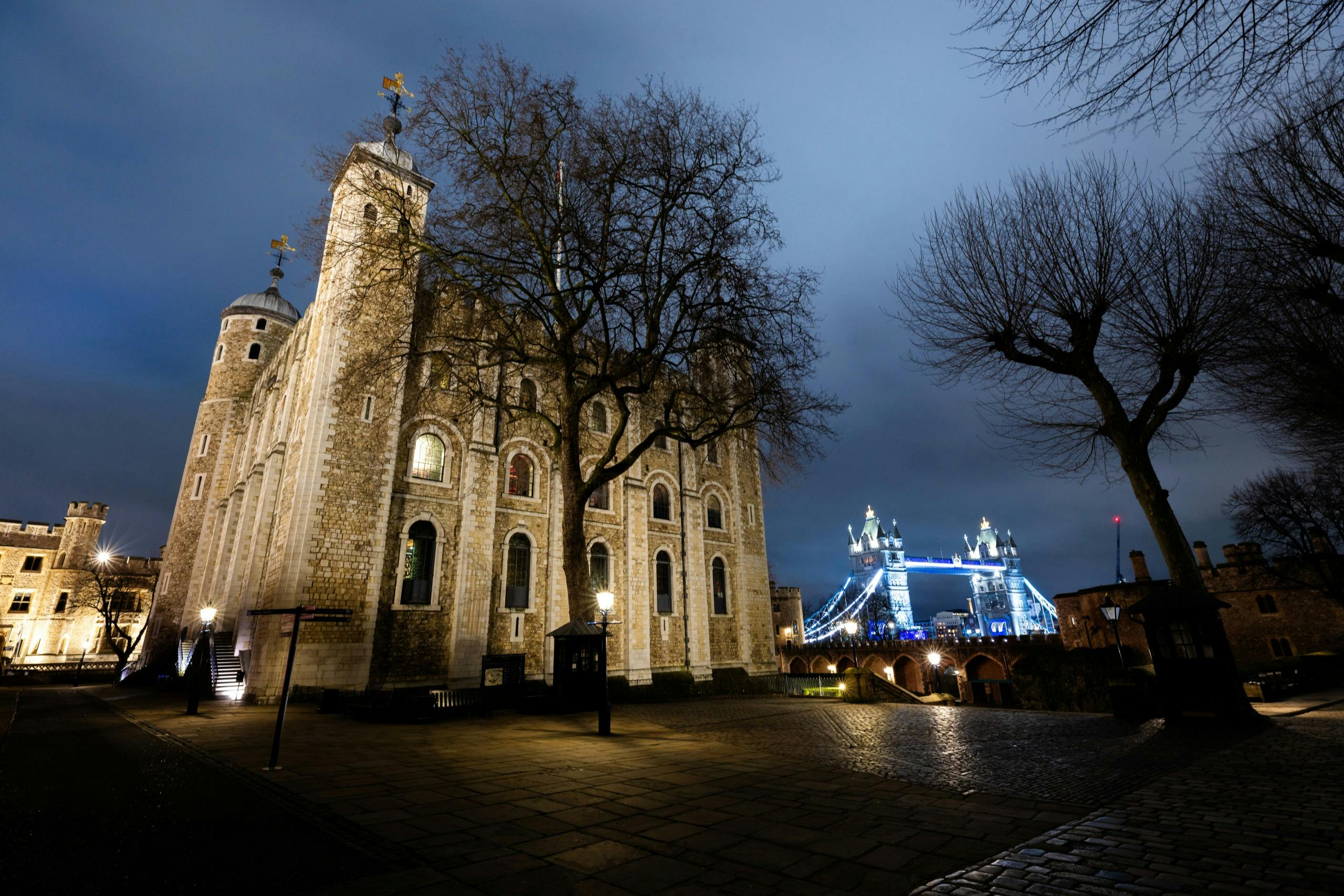 Ночной вид на Лондонский Тауэр с голыми деревьями и Тауэрским мостом, освещенным на заднем плане под пасмурным небом.