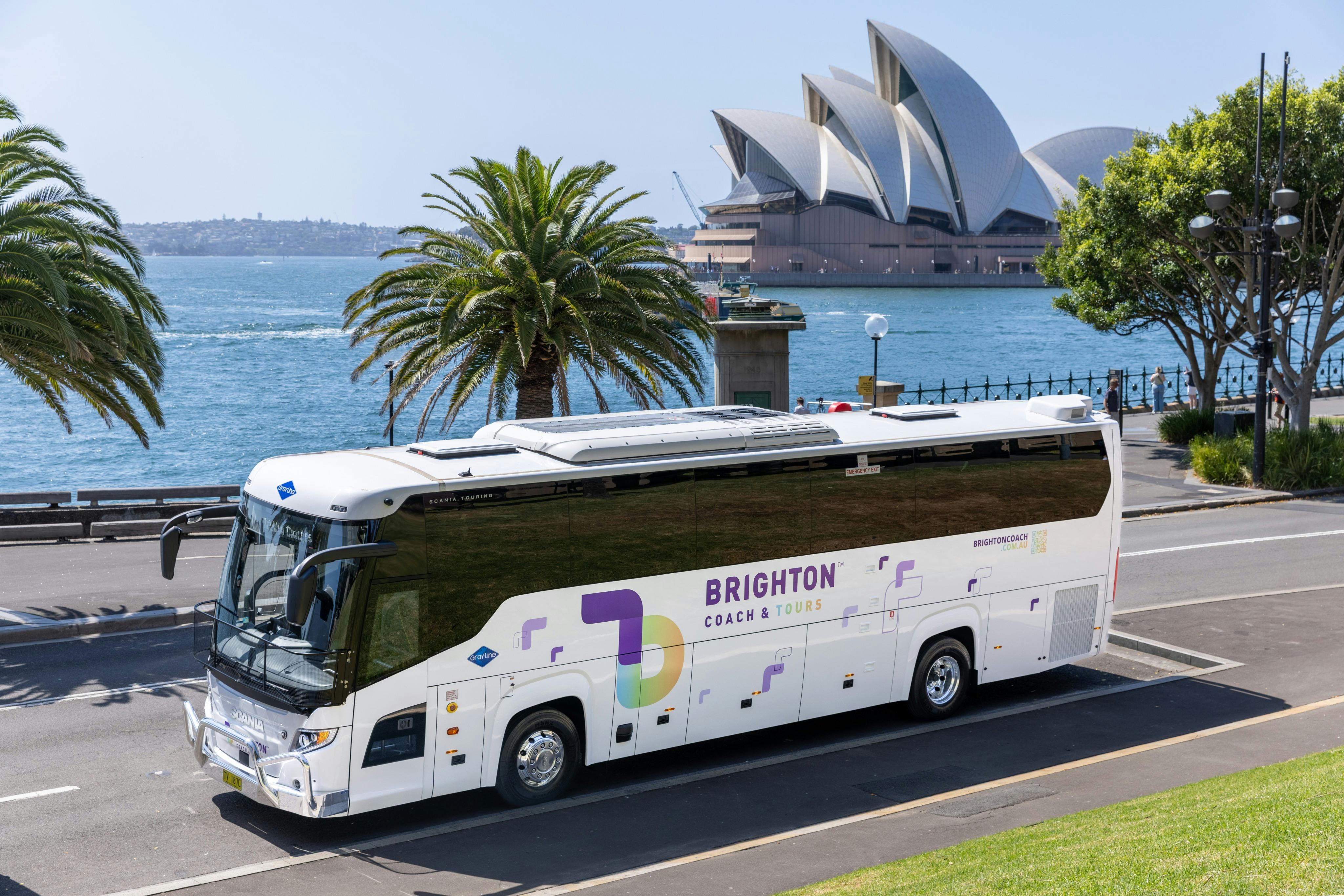 Port Stephens: Day Tour from Sydney + Dolphin Watching Cruise - Photo 7