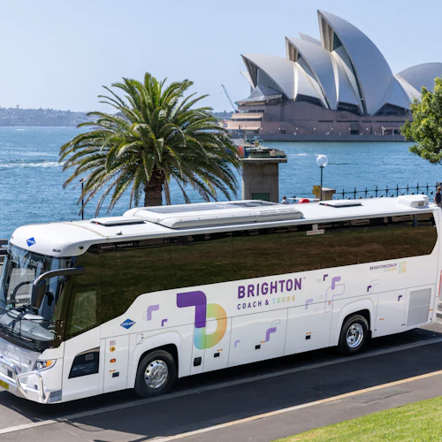 Port Stephens: Day Tour from Sydney + Dolphin Watching Cruise - Photo 7